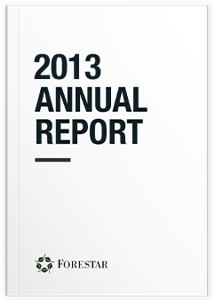 2013 Annual Report